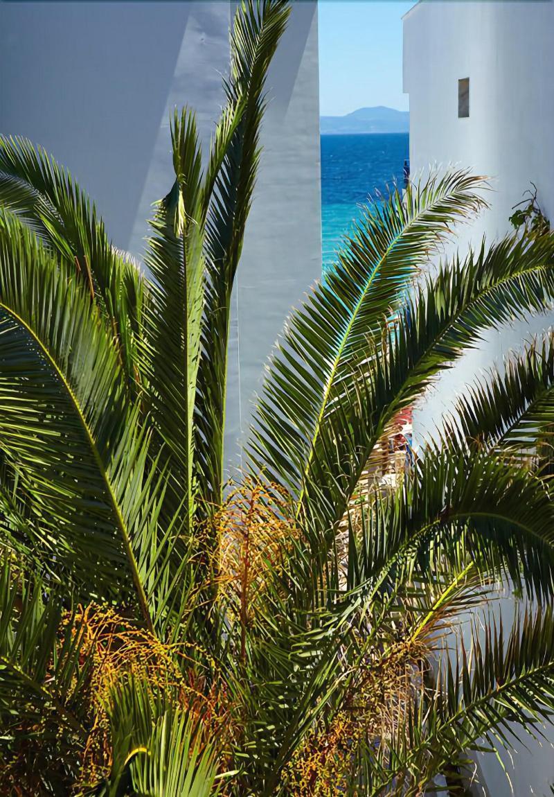 Margarita Sea Side Hotel Kallithea  Exterior foto